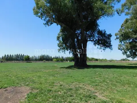 VENTA LOTE TERRENO EN CHASCOMUS CHACRA CAMPO LAGUNA