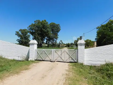 PRUDENCIO ORTIZ DE ROSAS 100