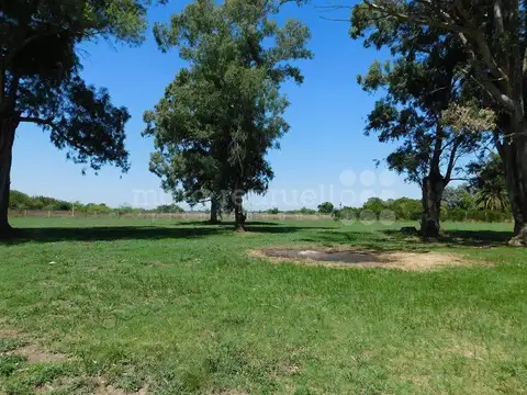 PRUDENCIO ORTIZ DE ROSAS 100
