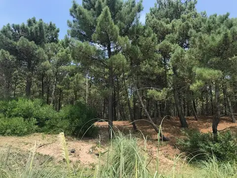 Terreno en Venta 30  mts Fondo