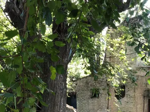 Terreno en Venta 24  mts Frente