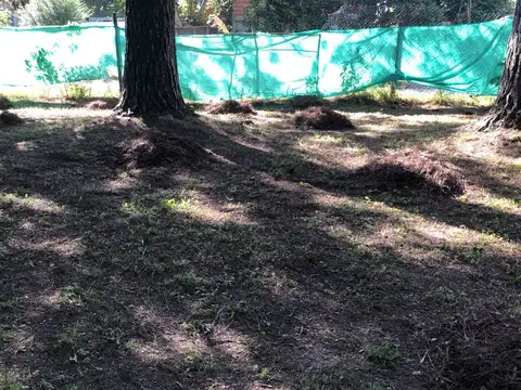 2 Lotes con casa quinta a refaccionar