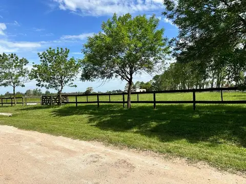 Haras El Malacate