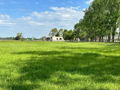 Haras El Malacate