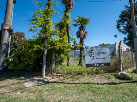 Lote en venta Gonnet ideal comercial
