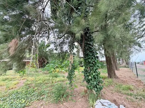 Terreno en Venta de 439,0 m2