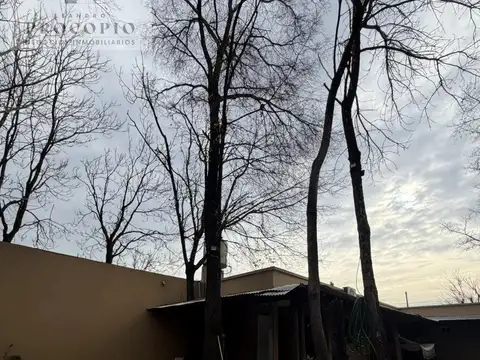 Casa en Alquiler A Estrenar