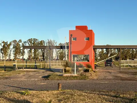 Villa de Campo Tres Pinos