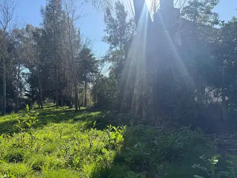 Terreno en Venta 30  mts Frente