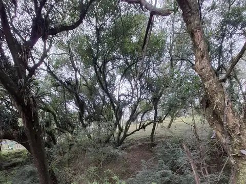Chacra 27000 m2 venta Vaqueros
