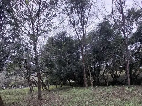 Chacra 27000 m2 venta Vaqueros