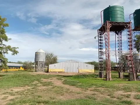 Pedernales 25 de Mayo Provincia de Buenos Aires
