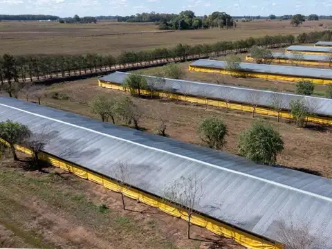 Granja avicola en venta 30 galpones en 25 de Mayo Buenos Aires
