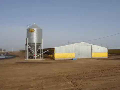 Granja avicola en venta 30 galpones en 25 de Mayo Buenos Aires