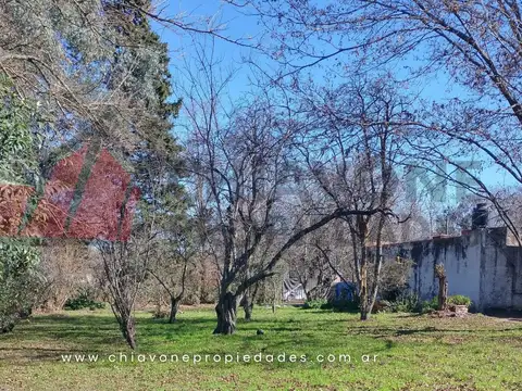Rivadavia