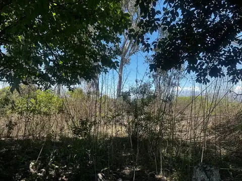TERRENO VENTA SOBRE RUTA 36 CAMPO QUIJANO