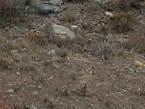 Lote 3.5Ha Piedra Blanca Vallecitos/A° Las Mulas