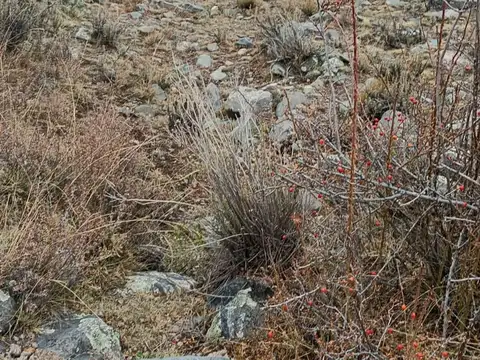 Terreno en Venta de 34979,0 m2