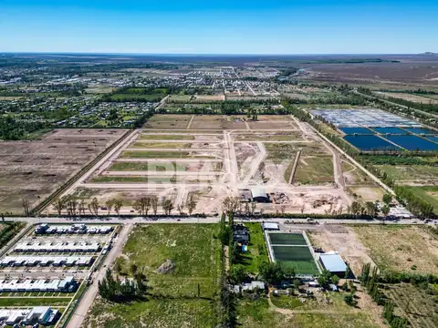 Terreno en Venta en Centenario, Confluencia