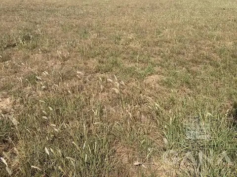 Terreno en Venta en Ibarlucea, USD 19.500