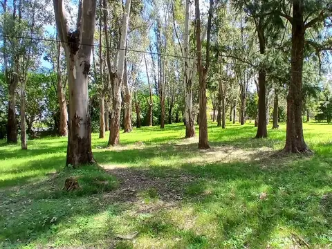 Terreno en Venta de 37800,0 m2