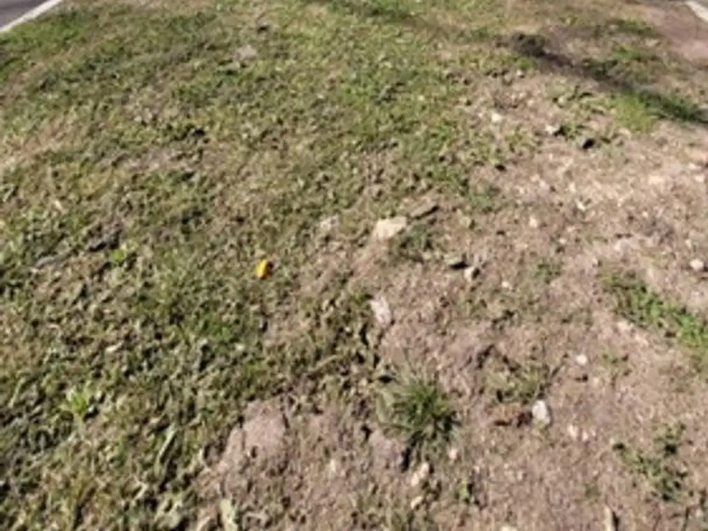 Terreno en Venta en Barrio San Juan