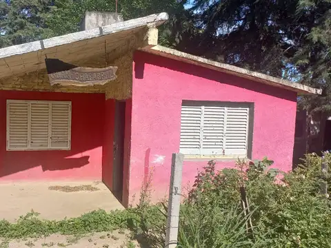 Ombu 100