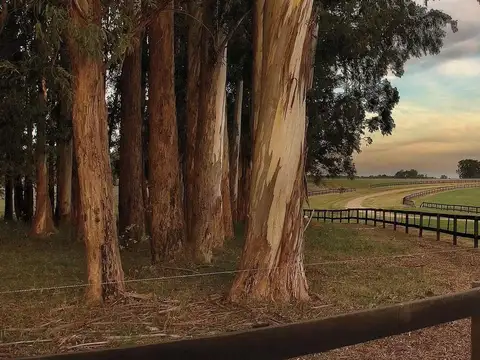 Terreno en Venta de 21839,0 m2