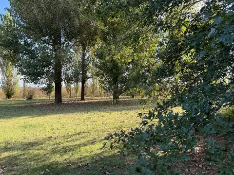 Chacra de 6 has con casa de campo, parque soñado y piscina, ideal descanso, Ruta 205 km 120