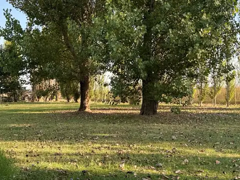 Chacra de 6 hectáreas con casa de campo, parque arbolado y piscina – entorno único en los alrededore