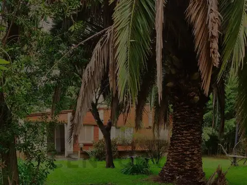 REINA MORA , Piso 0