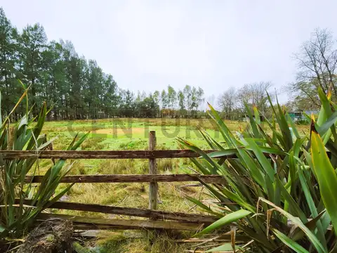 VENTA/CASA QUINTA | CAÑUELAS