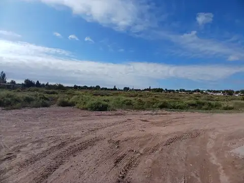 Venta Lote 2300 m2 San Martin Mendoza
