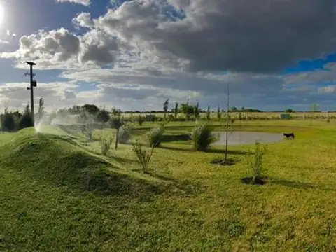 Terreno en venta - 700mts2 - La Plata [FINANCIADO]