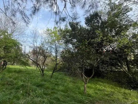 Terreno en Venta 150  mts Fondo