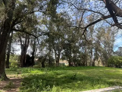 LAS RETAMAS Y ETIOPIA , Piso 0