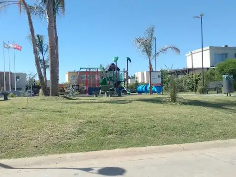 San Patricio 100