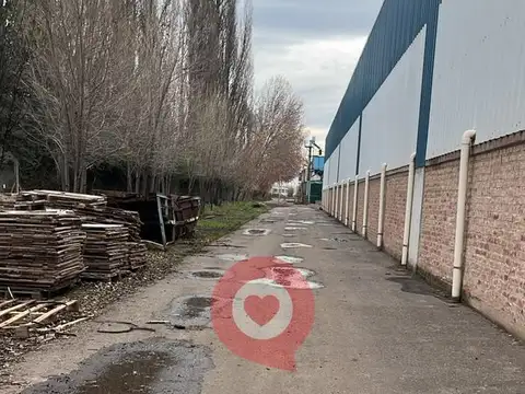 Galpon en Alquiler 80  mts Fondo