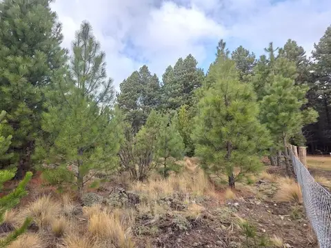 Lote en Bariloche barrio cerrado Dos Valles