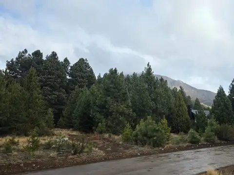 Terreno en Venta de 919,0 m2