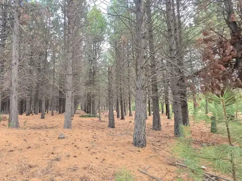 Terreno en Venta de 919,0 m2