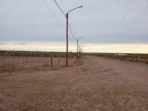 TERRENO EN VENTA PARQUE INDUSTRIAL- CENTENARIO