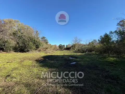 Lote en venta | Paul Harris N°150 | Barrio El Cazador, Escobar
