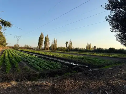 Finca de 6 has en venta en Los Corralitos, Gllén