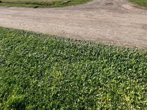 VENTA TERRENO PUJATO NORTE