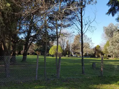 Venta Casa Chacra oportunidad Lote de 1.9 Ha en Zelaya Pilar