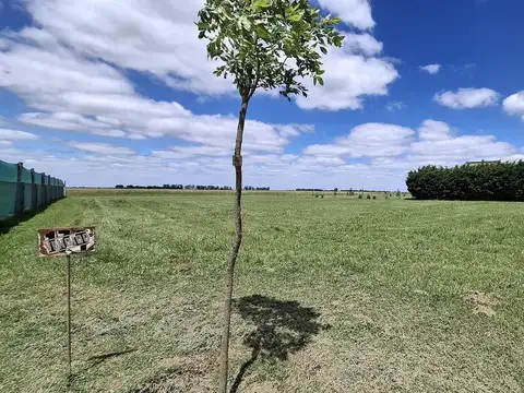 Terreno en Venta de 2188,0 m2