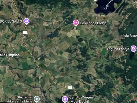 LA CORDONADA 100