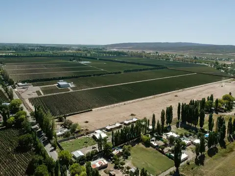 Terreno en Venta de 376,0 m2