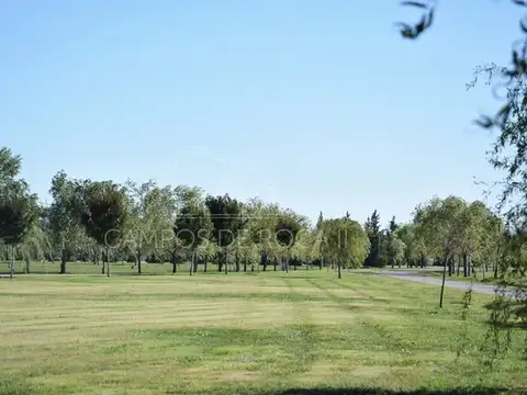 Ruta Provincial 2 100